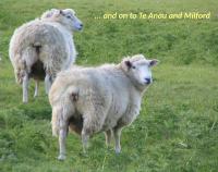 Albums/20060200-New Zealand 2006/20060209-Haast-Wanaka/37